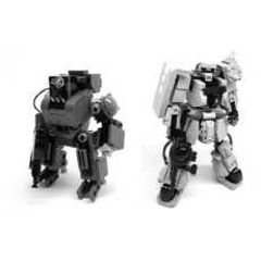 We are the Lego robots