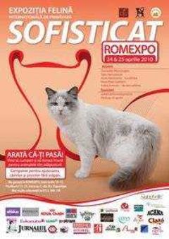Expozitie de pisici la Romexpo