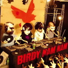 Video: Apa e gratis la concertul Audio Bullys si Birdy Nam Nam 