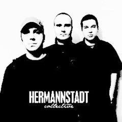 Video-interviu exclusiv cu Hermannstadt Collective 