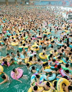 Cea mai aglomerata piscina din lume 