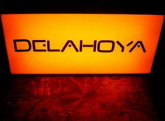 Delahoya 2007, al 11-lea an de dans electronic