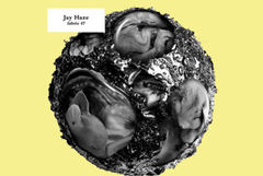 Jay Haze va dona banii castigati din compilatia Fabric 47 unei asociatii caritabile